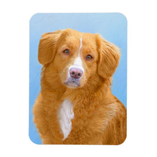 Nova Scotia Duck Tolling Retriever-hondenschilderi Magneet