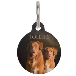 Nova Scotia Duck Tolling Retriever Huisdierpenning
