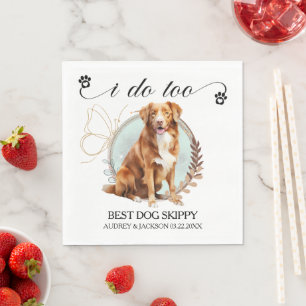 Nova Scotia Duck Tolling Retriever Huwelijksservet Servet