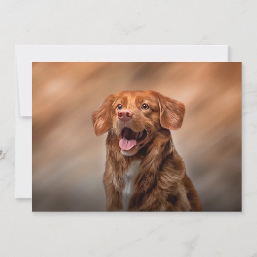 Nova Scotia Duck Tolling Retriever Kaart (Achterkant)