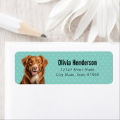 Nova Scotia Duck Tolling Retriever-labels Etiket (Insitu)