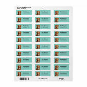 Nova Scotia Duck Tolling Retriever-labels Etiket (Full Sheet)