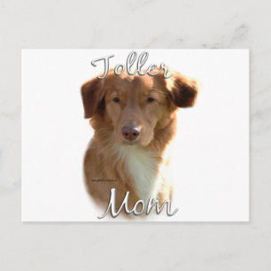 Nova Scotia Duck Tolling Retriever mam 2 Briefkaart