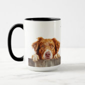 Nova Scotia Duck Tolling Retriever Mok (Links)