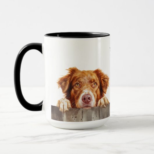 Nova Scotia Duck Tolling Retriever Mok (Links)