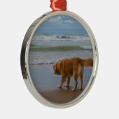 Nova Scotia Duck Tolling Retriever Ocean Attous Metalen Ornament (Rechts)