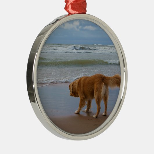 Nova Scotia Duck Tolling Retriever Ocean Attous Metalen Ornament (Rechts)