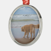Nova Scotia Duck Tolling Retriever Ocean Attous Metalen Ornament (Links)