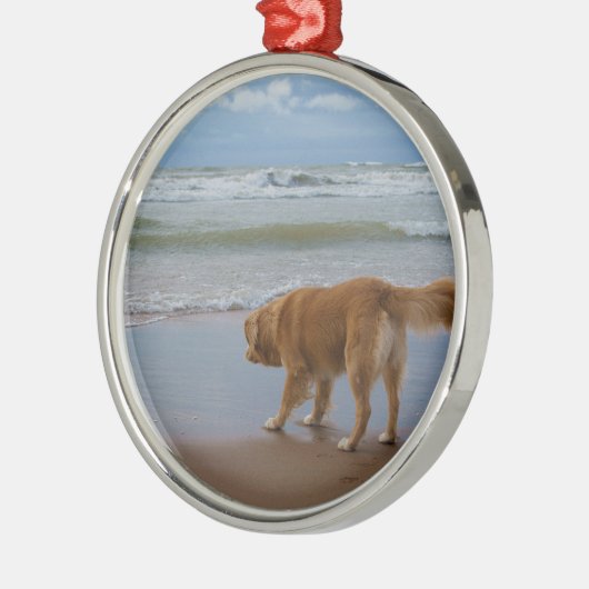 Nova Scotia Duck Tolling Retriever Ocean Attous Metalen Ornament (Links)