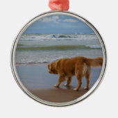 Nova Scotia Duck Tolling Retriever Ocean Attous Metalen Ornament (Voorkant)
