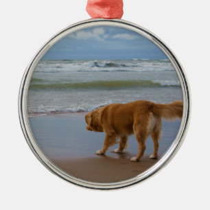 Nova Scotia Duck Tolling Retriever Ocean Attous Metalen Ornament