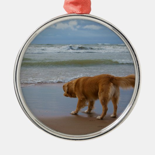 Nova Scotia Duck Tolling Retriever Ocean Attous Metalen Ornament (Voorkant)