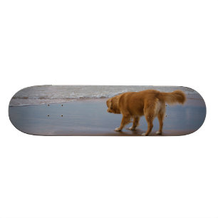 Nova Scotia Duck Tolling Retriever Ocean Attous Persoonlijk Skateboard