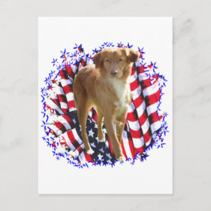 Nova Scotia Duck Tolling Retriever Patriot Briefkaart