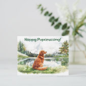 Nova Scotia Duck Tolling Retriever Postcrossing Briefkaart (Staand voorkant)