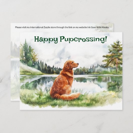 Nova Scotia Duck Tolling Retriever Postcrossing Briefkaart (Voorkant / Achterkant)