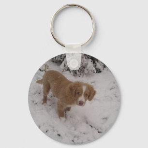 Nova_Scotia_Duck-Tolling_Retriever pup in sneeuw Sleutelhanger