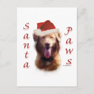 Nova Scotia Duck Tolling Retriever Santa Paws Feestdagenkaart