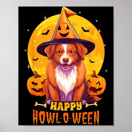 Nova Scotia Duck Tolling Retriever Toller Poster (Voorkant)