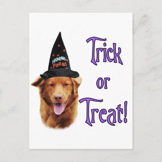 Nova Scotia Duck Tolling Retriever Trick Briefkaart (Voorkant)