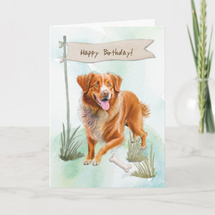 Nova Scotia Duck Tolling Retriever Verjaardagsbord Kaart