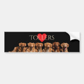 Nova Scotia Duck Tolling Retrievers Bumpersticker (Voorkant)