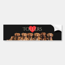 Nova Scotia Duck Tolling Retrievers Bumpersticker