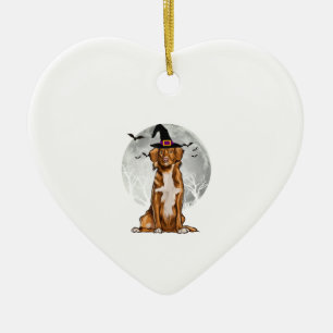 Nova Scotia Duck Tolling Retrievers Dog Witch Pet Keramisch Ornament