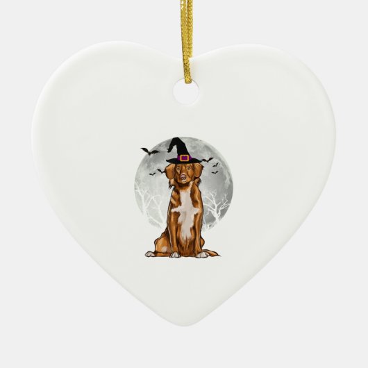 Nova Scotia Duck Tolling Retrievers Dog Witch Pet Keramisch Ornament (Voorkant)