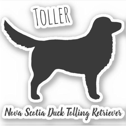 Nova Scotia Duck Tolling Silhouette Sticker (Voorkant)