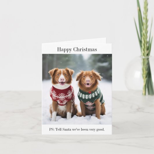 Nova Scotia Ducktolling Retrievers Kerst Kaart (Voorkant)