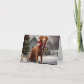 Nova Scotia Eend Toller Hond in Sneeuw Kerstmis Kaart (Voorkant)