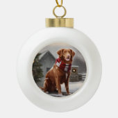 Nova Scotia Eend Toller Hond in Sneeuw Kerstmis Keramische Bal Ornament (Voorkant)