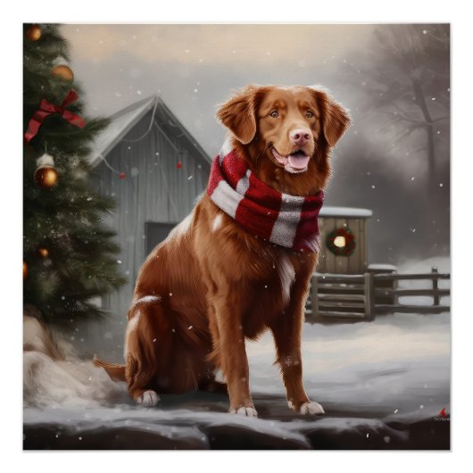 Nova Scotia Eend Toller Hond in Sneeuw Kerstmis Perfect Poster (Voorkant)