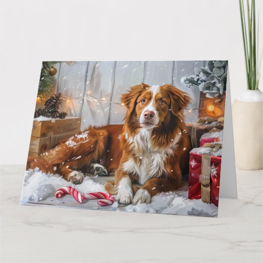 Nova Scotia Eend Toller Hond Kerstfeest Kaart (Voorkant)
