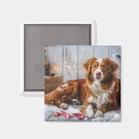 Nova Scotia Eend Toller Hond Kerstfeest Magneet (Voorkant / Achterkant)