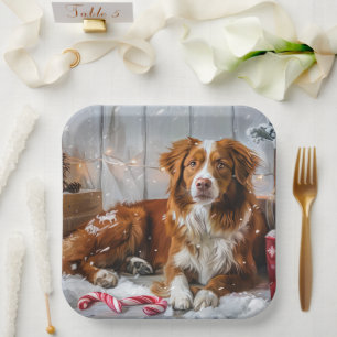Nova Scotia Eend Toller Hond Kerstfeest Papieren Bordje