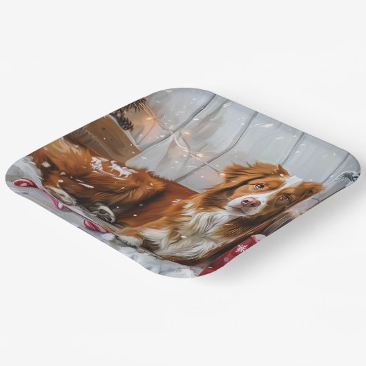 Nova Scotia Eend Toller Hond Kerstfeest Papieren Bordje (Gebogen)