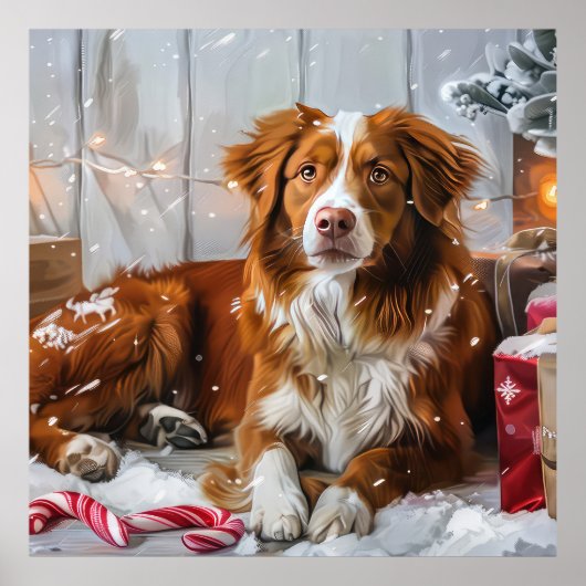 Nova Scotia Eend Toller Hond Kerstfeest Poster (Voorkant)
