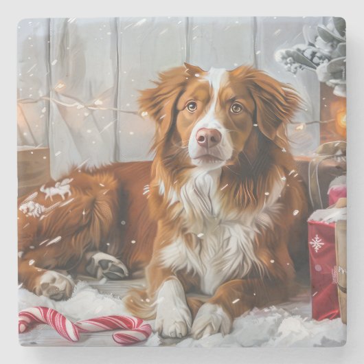 Nova Scotia Eend Toller Hond Kerstfeest Stenen Onderzetter (Voorkant)