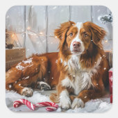 Nova Scotia Eend Toller Hond Kerstfeest Vierkante Sticker (Voorkant)