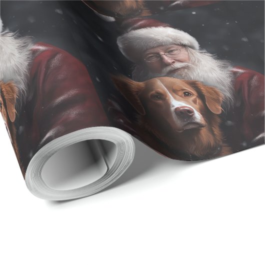 Nova Scotia Eend Toller Met Sinterklaas Feestelijk Cadeaupapier (Rol Hoek)