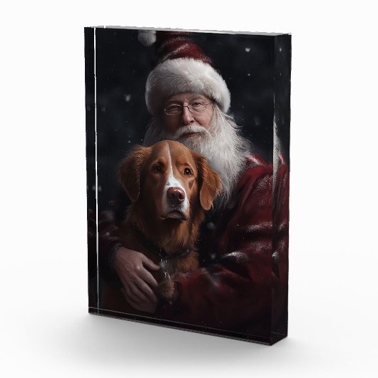 Nova Scotia Eend Toller Met Sinterklaas Feestelijk Fotoblokken (Rechts)