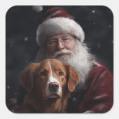 Nova Scotia Eend Toller Met Sinterklaas Feestelijk Vierkante Sticker (Voorkant)
