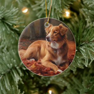 Nova Scotia eendendrager in de herfst laat Herfst Keramisch Ornament