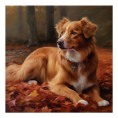 Nova Scotia eendendrager in de herfst laat Herfst Perfect Poster (Voorkant)