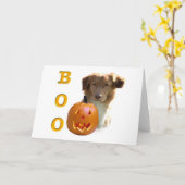 Nova Scotia Halloween BOO Kaart (Gele Bloem)