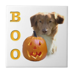 Nova Scotia Halloween BOO Tegeltje
