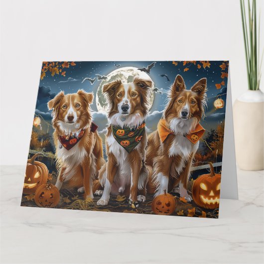 Nova Scotia Halloween Spooky Kaart (Voorkant)