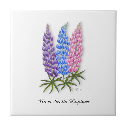 Nova Scotia Lupinen Tegeltje (Voorkant)